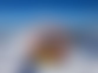 NZ高校留学　ツアー