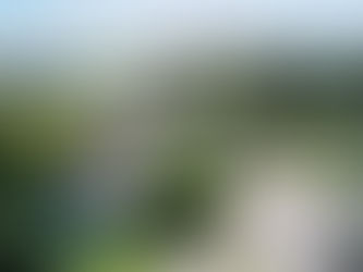 ティマル高校留学 特集 その1