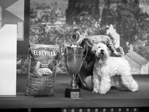 ROZHOVOR | Šampion šampionů je odměna za tvrdou dřinu