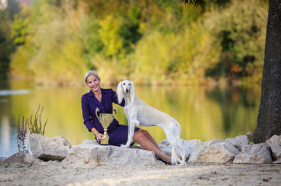 subertova_saluki_lumija_adel_bis_split.jpeg
