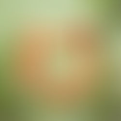 Picture of a gut with vitamins and greens