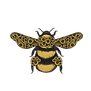 Bee on own_sml.png