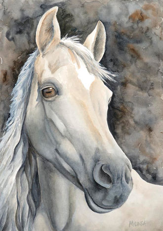 Watercolour painting Arabian horse