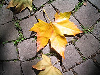 P1070283_edited.jpg