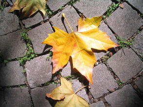 Parashat Vayera: Learning to See the Other