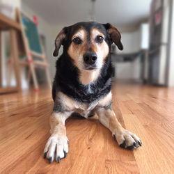 Jax