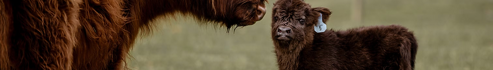 Screenshot 2025-08-31 at 9.58.29 PM.png