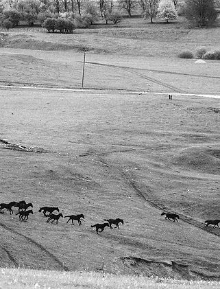 nominated-2023-11-27-05-30-40-utc_edited