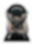 Shirt_COVE_v2 (1).png