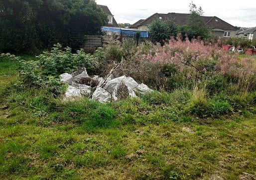 Dense overgrown vegetation, rubble and debris covering rough ground — the state of the High Backs site before the community came together to clear it.