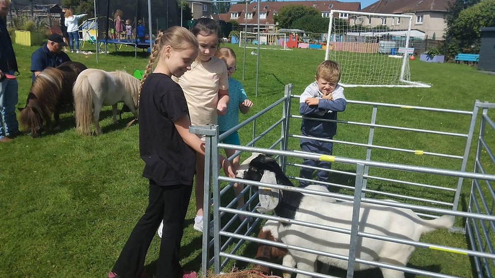 Four children stand around a pen with goats in it. There are Shetland ponies in the background.