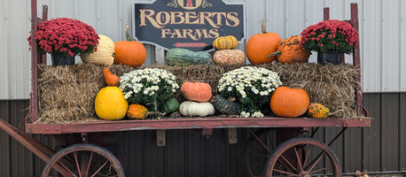 🍎🎃Find fall fun this October in Noble County