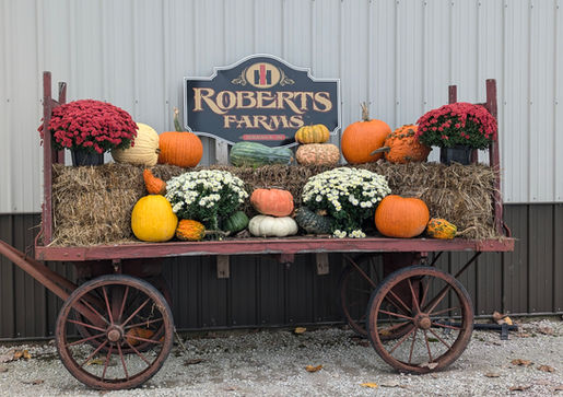 🍎🎃Find fall fun this October in Noble County
