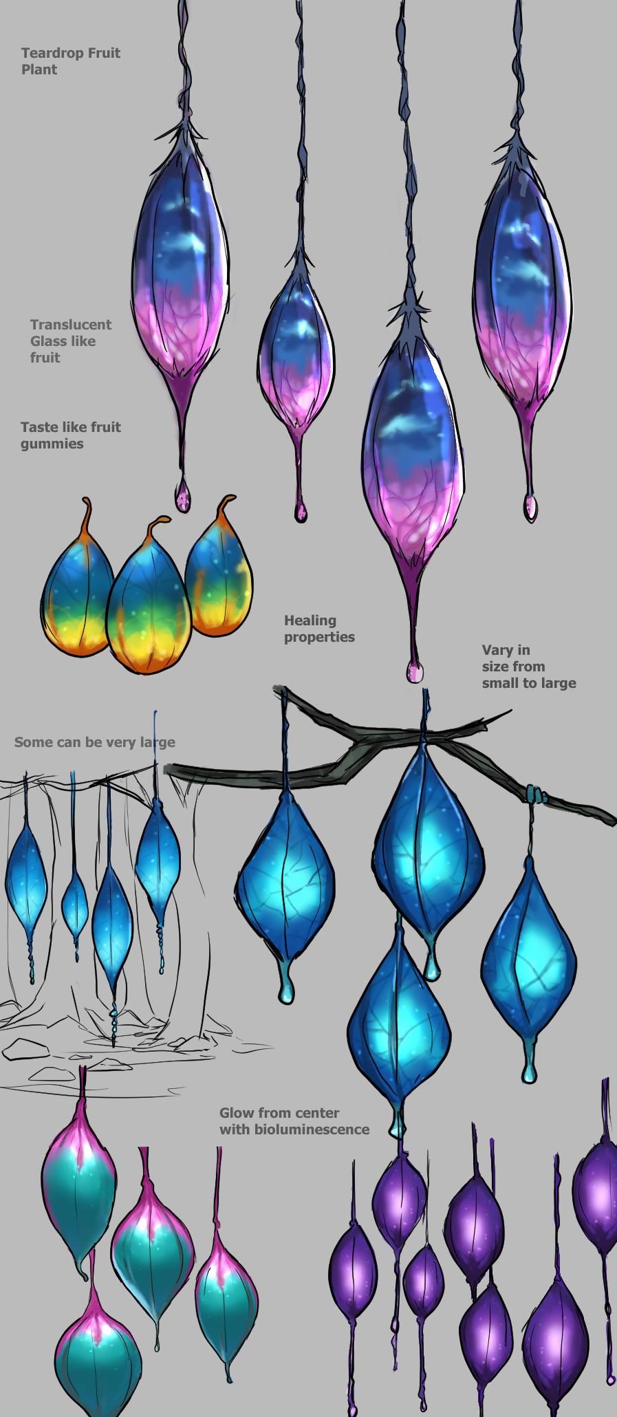 teardrop fruit