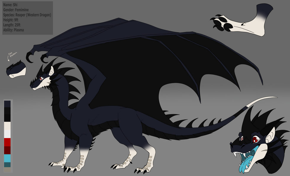 Shi dragon form