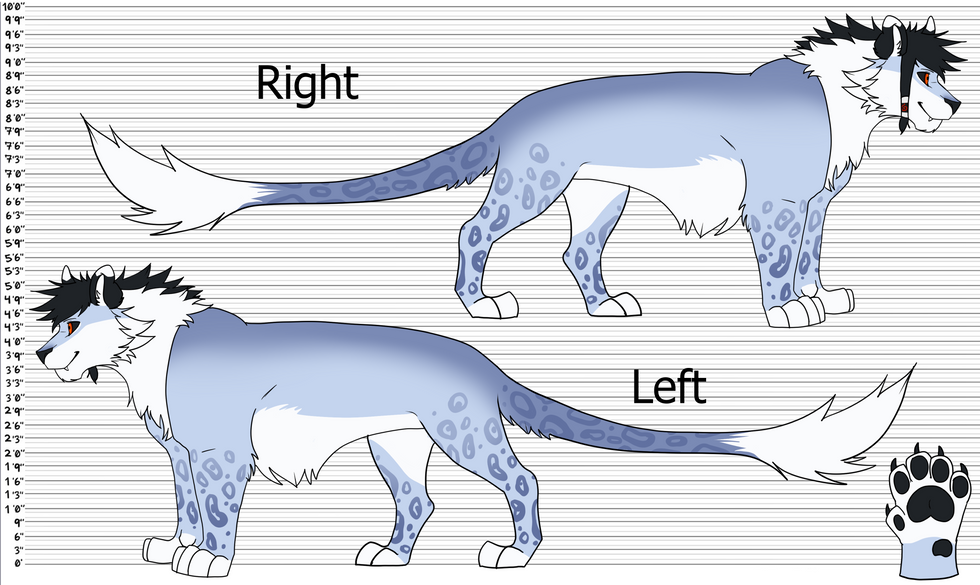yuki lipard