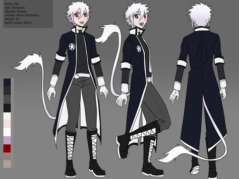 Shi reference sheet