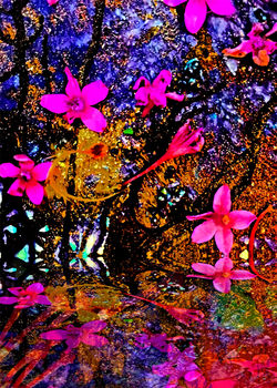 Cosmic Garden 11 LR