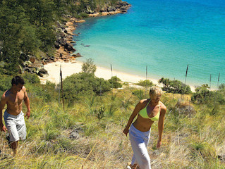 Bushwalks in the Whitsunday Islands