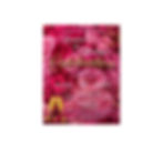 Momma's & Mommy's Celebration