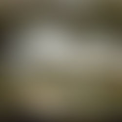 How to Improve Your Garden - Regency Style