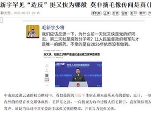 毛新宇相关派系现已成保皇党核心
