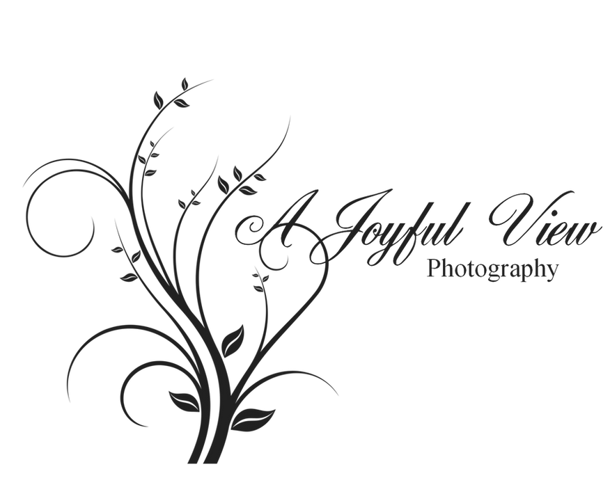 A Joyful View Photography