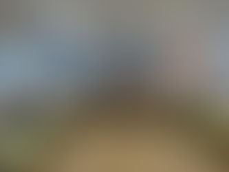 Радіодиктант - 2025