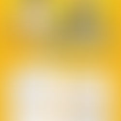 제 1회 2020 고교 트롯왕