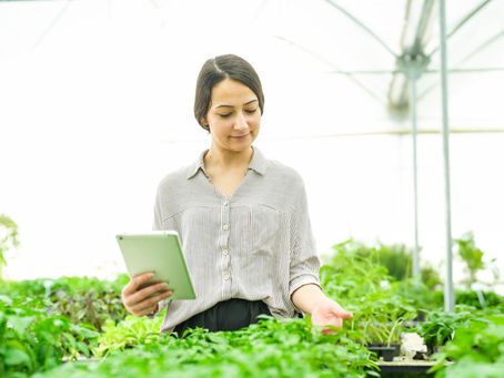The Economics of Smart Farming: Reducing Costs and Increasing Yields