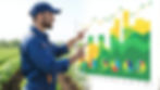 Predictive Analytics in Agriculture: Turning Data into Insights