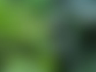 Precision Agriculture: How AI and Big Data are Shaping the Future of Farming