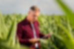 Drone Imagery in Precision Farming: Enhancing Decision Making