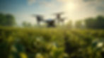 Drone Imagery in Precision Farming: Enhancing Decision Making