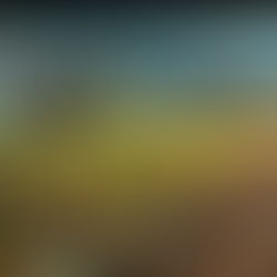 The Power of IoT: Enabling Real Time Farm Monitoring for Optimal Efficiency