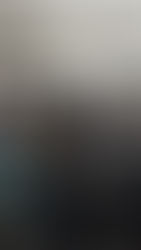 Purim at the Kollel 5780 (with Photos)