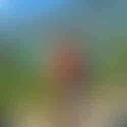 A couple in front of a lake