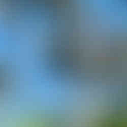 A lady at the top of a flight of steps