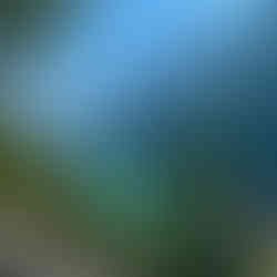 Tree lined valley with a lake in the distance