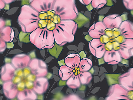 The 100 Day Project: Day 58/"Blurred"