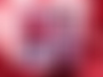 The 100 Day Challenge Continues!