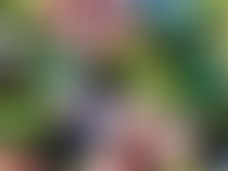 Spring Blooms (or Wishful Thinking)