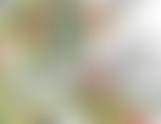 Floral Pattern for S/S 20