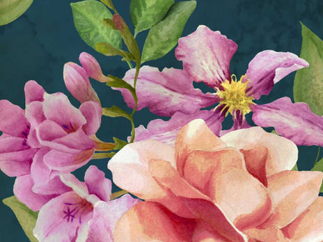 A New Botanical Collection