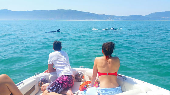 ZUZA BOAT - DOLPHINS.jpeg