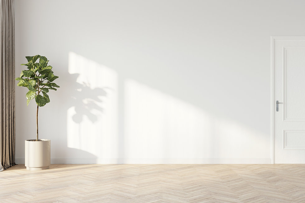 AdobeStock_313748908.jpeg