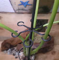 WhatsApp Image 2025-09-08 at 14.58_edited.png