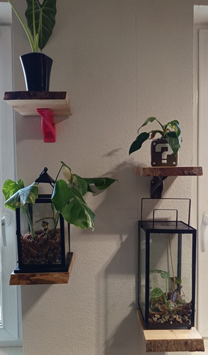 handgefertigtes Holzregal | Blatt-Stahl