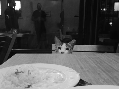 Tel Aviv/Jaffa Restaurants