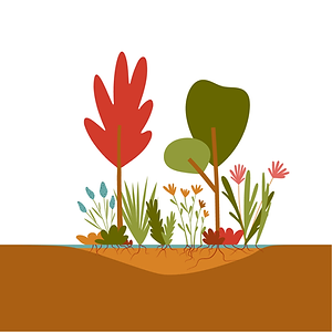 Hillside Agengy - Granton Illustrations - Rain Garden-01.png